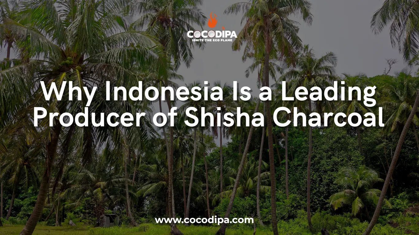 Indonesia Shisha Charcoal