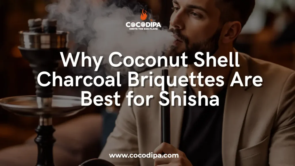 A professional shisha lounge atmosphere showing a man enjoying shisha using coconut shell charcoal briquettes for Shisha. The image highlights clean smoke, stable heat, and premium quality coconut charcoal, making it ideal for shisha lounges, distributors, and international buyers.
