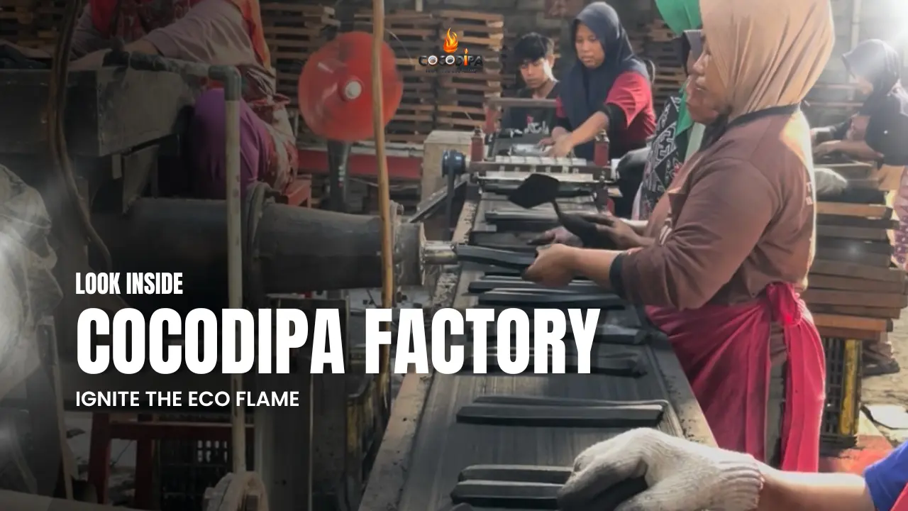 Hookah Charcoal Supplier Indonesia