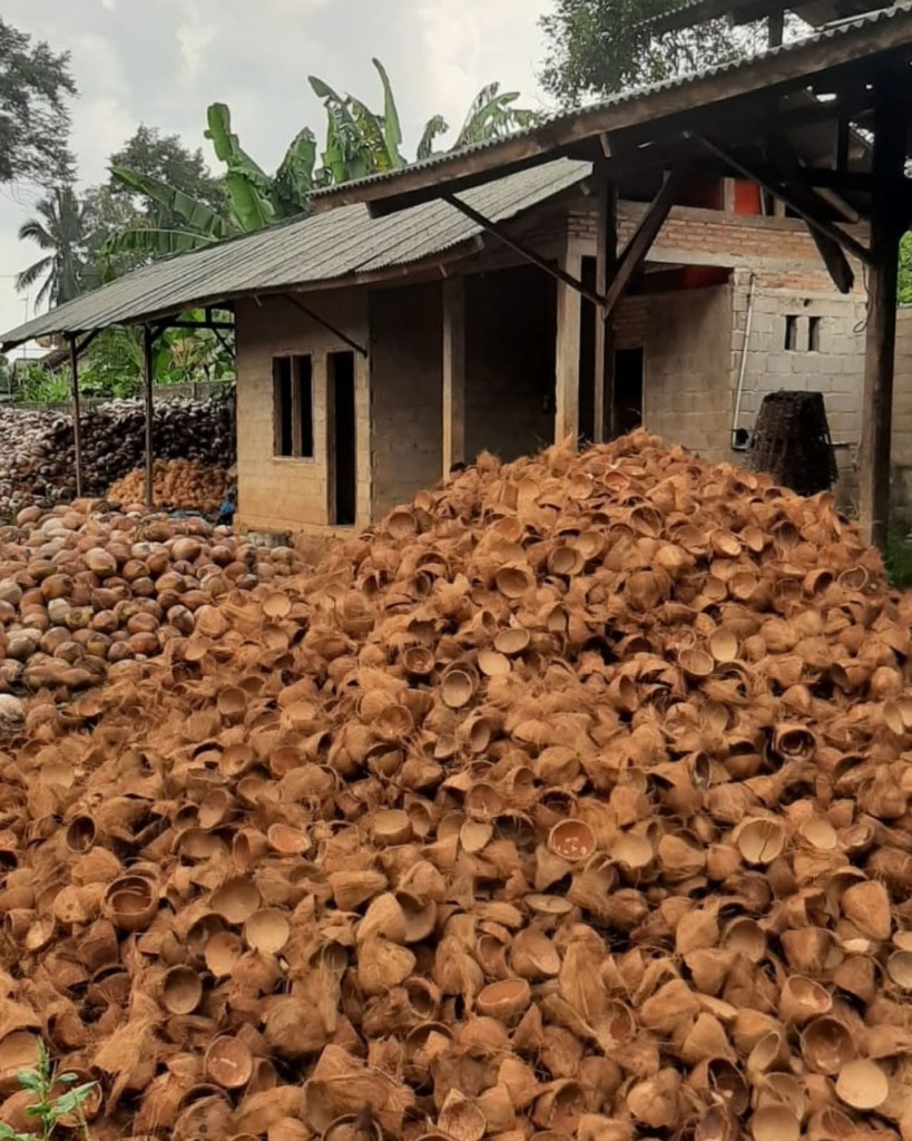Premium Shell Sourcing